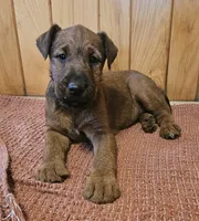 processed/c885e57f-ad13-4a58-b4ec-b978b00c7537/listing/6115ca01-abea-4131-a047-9a7d1fdcfad4/fb77ba1d-2ebf-4a2f-9168-88e32efc203a