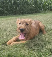 processed/c885e57f-ad13-4a58-b4ec-b978b00c7537/listing/7ca743e7-f326-4d3b-a60b-cd722475ec11/9e5b6020-e2a7-4571-9006-224b82a00876