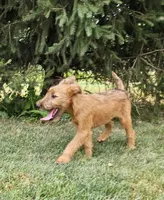 processed/c885e57f-ad13-4a58-b4ec-b978b00c7537/listing/7ca743e7-f326-4d3b-a60b-cd722475ec11/9f15e3aa-799e-4600-9674-640226cd2515