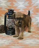 processed/c885e57f-ad13-4a58-b4ec-b978b00c7537/listing/90c2f024-7bb4-425e-81b6-ccd41057c2fc/03b7d884-bafa-4c30-96bb-b9f28a07afdd