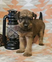 processed/c885e57f-ad13-4a58-b4ec-b978b00c7537/listing/90c2f024-7bb4-425e-81b6-ccd41057c2fc/951c6bfd-dba3-46ff-8580-dd1618a446c5