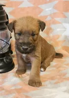 processed/c885e57f-ad13-4a58-b4ec-b978b00c7537/listing/c12d70bb-5357-4674-84b4-62ad09762039/23c98ca9-bf6f-4ef6-818f-e37e4c858bce