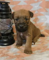 processed/c885e57f-ad13-4a58-b4ec-b978b00c7537/listing/c12d70bb-5357-4674-84b4-62ad09762039/2c6a31cf-d447-4b8e-bfa7-83a405bcfa5e