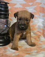 processed/c885e57f-ad13-4a58-b4ec-b978b00c7537/listing/c12d70bb-5357-4674-84b4-62ad09762039/88b6687f-84cc-418a-afbc-d05f3f175280