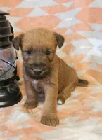 processed/c885e57f-ad13-4a58-b4ec-b978b00c7537/listing/c12d70bb-5357-4674-84b4-62ad09762039/8d632e71-2d2c-4cdb-b6d9-791fc4a1e258