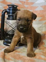 processed/c885e57f-ad13-4a58-b4ec-b978b00c7537/listing/c12d70bb-5357-4674-84b4-62ad09762039/94aae453-cfb8-48c2-ad9d-91c8868fb0d2