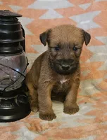 processed/c885e57f-ad13-4a58-b4ec-b978b00c7537/listing/c12d70bb-5357-4674-84b4-62ad09762039/ef785015-06e2-41ca-bbb1-75f8f1903ae8