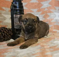 processed/c885e57f-ad13-4a58-b4ec-b978b00c7537/listing/d6a6f678-9bfc-4725-ac9c-78cba81d24f0/05706d84-a12a-4977-8a57-7afb7c2fa9f1