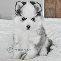 processed/c8864541-6484-411b-82f4-78444d5e4e02/facility/7b10884f-5b84-44fe-981d-68a1906c3f62