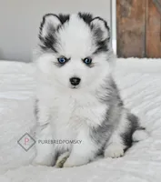 processed/c8864541-6484-411b-82f4-78444d5e4e02/facility/7b10884f-5b84-44fe-981d-68a1906c3f62