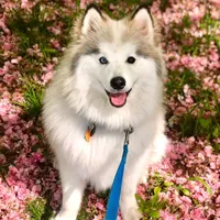 processed/c8864541-6484-411b-82f4-78444d5e4e02/facility/89cd2450-477b-4038-a43e-1e13993624e4