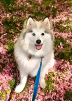 processed/c8864541-6484-411b-82f4-78444d5e4e02/facility/89cd2450-477b-4038-a43e-1e13993624e4