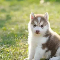 processed/c8864541-6484-411b-82f4-78444d5e4e02/facility/956b4739-4d6f-430f-8938-35e10789bc58