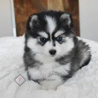 processed/c8864541-6484-411b-82f4-78444d5e4e02/facility/a655ee1e-25b7-406b-b1f9-024a25201495