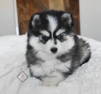 processed/c8864541-6484-411b-82f4-78444d5e4e02/facility/a655ee1e-25b7-406b-b1f9-024a25201495