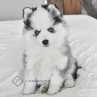 processed/c8864541-6484-411b-82f4-78444d5e4e02/facility/b3341a72-7663-4cb1-8e08-89c357b26cfd