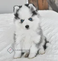 processed/c8864541-6484-411b-82f4-78444d5e4e02/facility/b3341a72-7663-4cb1-8e08-89c357b26cfd