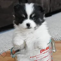 processed/c8864541-6484-411b-82f4-78444d5e4e02/facility/b3ac2186-1b90-4767-8f14-79e3c208fca4