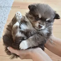 processed/c8864541-6484-411b-82f4-78444d5e4e02/facility/c4f25fca-bca2-4758-9a30-2adc207074cf