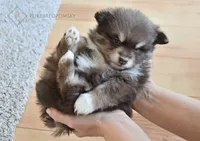 processed/c8864541-6484-411b-82f4-78444d5e4e02/facility/c4f25fca-bca2-4758-9a30-2adc207074cf