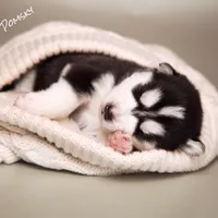 processed/c8864541-6484-411b-82f4-78444d5e4e02/facility/ebef8397-4624-4e51-8ae3-fdc8492f7d52