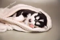 processed/c8864541-6484-411b-82f4-78444d5e4e02/facility/ebef8397-4624-4e51-8ae3-fdc8492f7d52