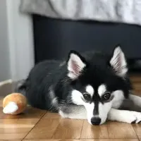 processed/c8864541-6484-411b-82f4-78444d5e4e02/facility/ffcfa386-52d0-4c9f-9b4a-d8e7a8d01602