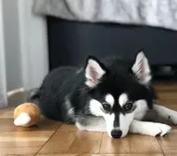 processed/c8864541-6484-411b-82f4-78444d5e4e02/facility/ffcfa386-52d0-4c9f-9b4a-d8e7a8d01602