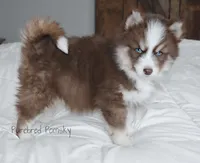 processed/c8864541-6484-411b-82f4-78444d5e4e02/listing/5ba6cf1a-3a80-4748-affe-66233977e9ae/21f07d73-d33d-4507-9191-9e42725f6750