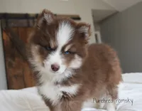 processed/c8864541-6484-411b-82f4-78444d5e4e02/listing/5ba6cf1a-3a80-4748-affe-66233977e9ae/3e4018e8-671e-4573-984b-1e6460138ba2