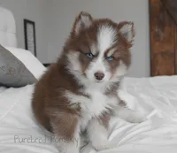 processed/c8864541-6484-411b-82f4-78444d5e4e02/listing/5ba6cf1a-3a80-4748-affe-66233977e9ae/4f987c20-a0b2-418e-ba75-d728522ba3f2