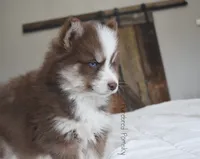 processed/c8864541-6484-411b-82f4-78444d5e4e02/listing/5ba6cf1a-3a80-4748-affe-66233977e9ae/946466d3-baac-4c7d-a7ea-b6dc3a40cac4