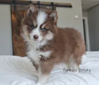 processed/c8864541-6484-411b-82f4-78444d5e4e02/listing/5ba6cf1a-3a80-4748-affe-66233977e9ae/b2046540-7ca3-4208-95a7-c8633ace40af