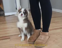 processed/c8864541-6484-411b-82f4-78444d5e4e02/listing/6417cd52-e599-4386-a58e-0c720eaad7fa/52de4151-6e9b-4fab-b884-a1a7c61583c0