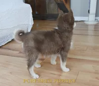 processed/c8864541-6484-411b-82f4-78444d5e4e02/listing/6417cd52-e599-4386-a58e-0c720eaad7fa/9395fbce-bfb8-4df5-8caf-c2dc5e676ced