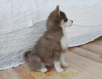 processed/c8864541-6484-411b-82f4-78444d5e4e02/listing/6417cd52-e599-4386-a58e-0c720eaad7fa/b03ae8dc-e07d-4cb9-a946-88194a8e376a