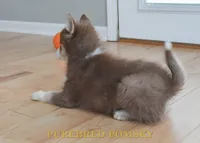 processed/c8864541-6484-411b-82f4-78444d5e4e02/listing/6417cd52-e599-4386-a58e-0c720eaad7fa/ccb8c99f-5afa-47b0-9cf9-33b66149e774