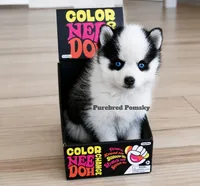 Pixie, a female Pomsky for sale in Kansas City, MO – 3 of 5
