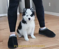 processed/c8864541-6484-411b-82f4-78444d5e4e02/listing/949384b1-98d2-4c61-9a0f-9258bb070a99/1baaf0d3-e842-4645-804c-ea2d99582f96