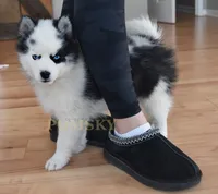 processed/c8864541-6484-411b-82f4-78444d5e4e02/listing/949384b1-98d2-4c61-9a0f-9258bb070a99/3a1dd876-8be5-48c4-8fac-7a6c0c421614