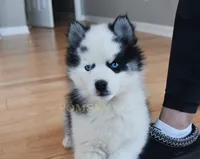 processed/c8864541-6484-411b-82f4-78444d5e4e02/listing/949384b1-98d2-4c61-9a0f-9258bb070a99/8be73657-c878-4879-a8a5-6f181d77fc22