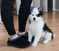 processed/c8864541-6484-411b-82f4-78444d5e4e02/listing/949384b1-98d2-4c61-9a0f-9258bb070a99/97b301ef-5c2f-4762-8f7a-0e06c308f4ec