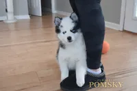 processed/c8864541-6484-411b-82f4-78444d5e4e02/listing/949384b1-98d2-4c61-9a0f-9258bb070a99/d84454ca-51d4-4b3e-b0a0-2ade36d82fd9