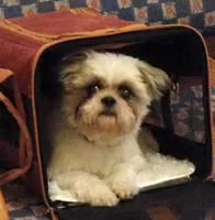 processed/c887e0c9-93b8-452c-a672-16a3c802d942/facility/15ddc8a9-9581-4f81-851c-b392a2086484