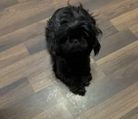 processed/c887e0c9-93b8-452c-a672-16a3c802d942/facility/1d235fca-5fbc-4aa6-b5c9-2074010f2dd1