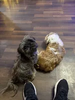 processed/c887e0c9-93b8-452c-a672-16a3c802d942/facility/32c3de1d-8dcb-4a96-9cc7-3afe13400517