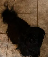 processed/c887e0c9-93b8-452c-a672-16a3c802d942/facility/35554b90-76fc-4243-ad42-47a0cfcd27d1