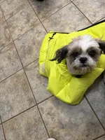 processed/c887e0c9-93b8-452c-a672-16a3c802d942/facility/c5055b8a-19c2-4358-9565-ca1f69fed583