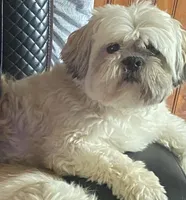 processed/c887e0c9-93b8-452c-a672-16a3c802d942/facility/e3198ae1-fe0d-44dd-b455-caa30eb35ef4