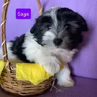 processed/c88d0962-982f-44cd-afcc-622682b4f3ad/facility/59010c46-7ccc-47bf-bbf9-44dd0e37022a